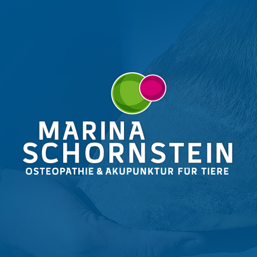 Blutegel-Therapie • Marina Schornstein » Osteopathie & Akupunktur für ...
